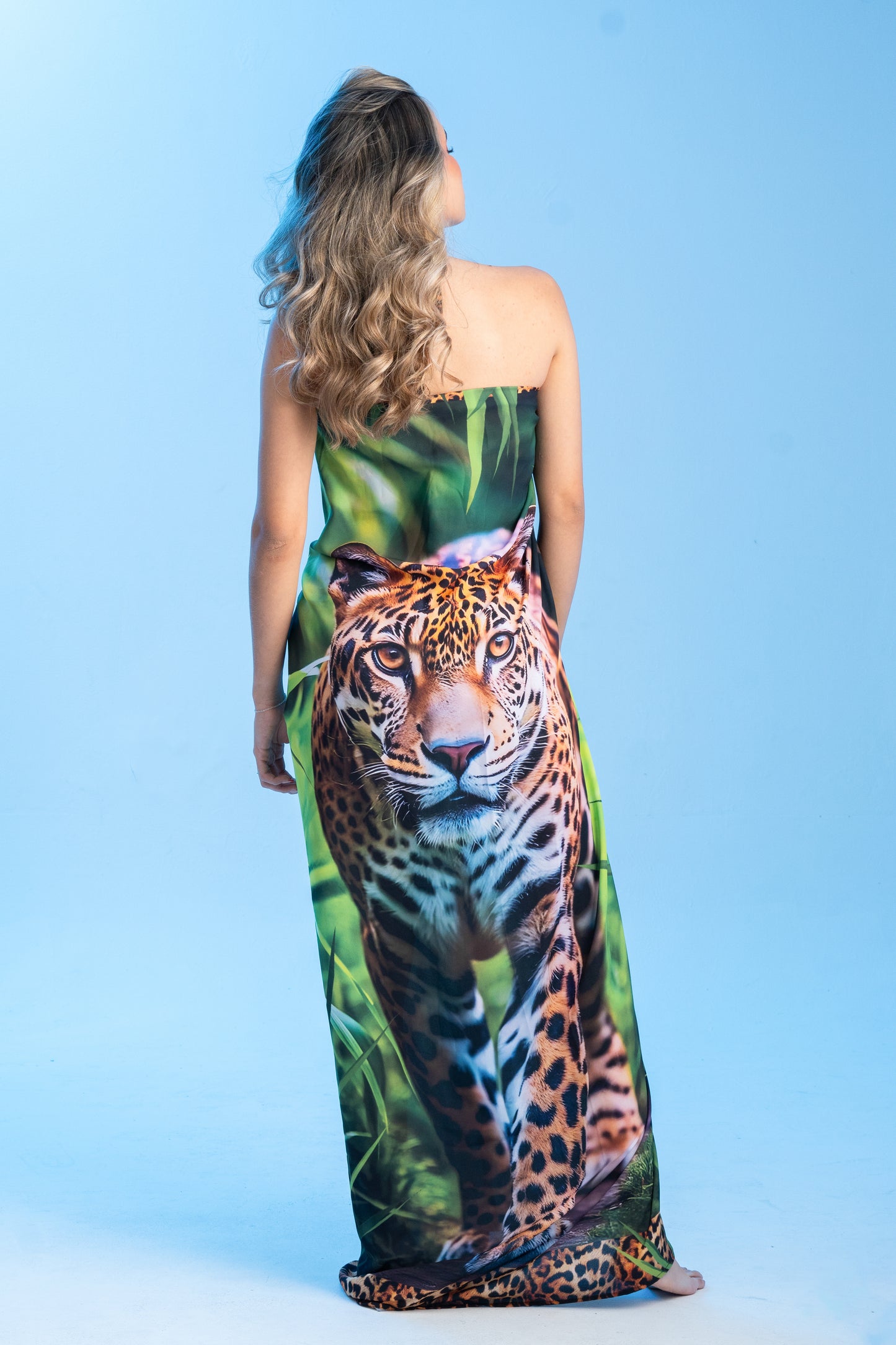Savana Dream